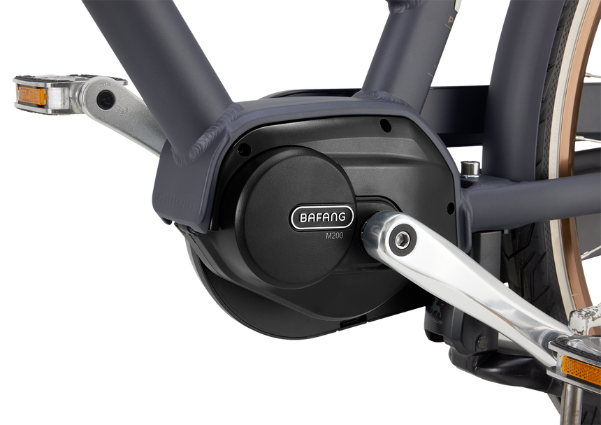 Daily Dutch Prestige-E MM N7