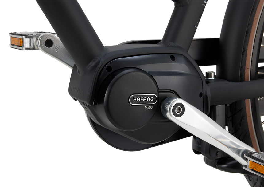 Daily Dutch Prestige-E MM N7