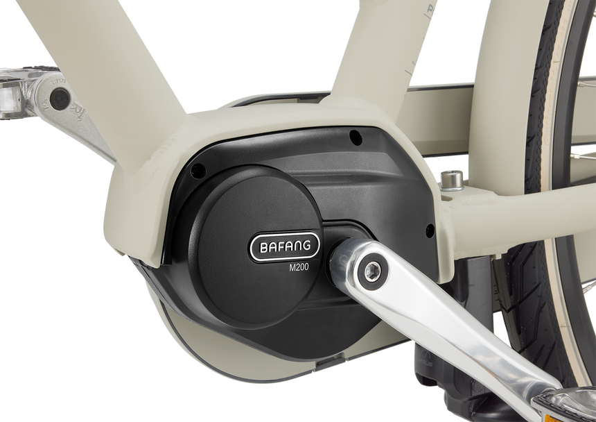 Daily Dutch Prestige-E MM N7