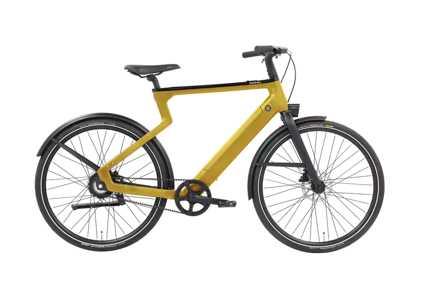 ERA GOLD 58CM